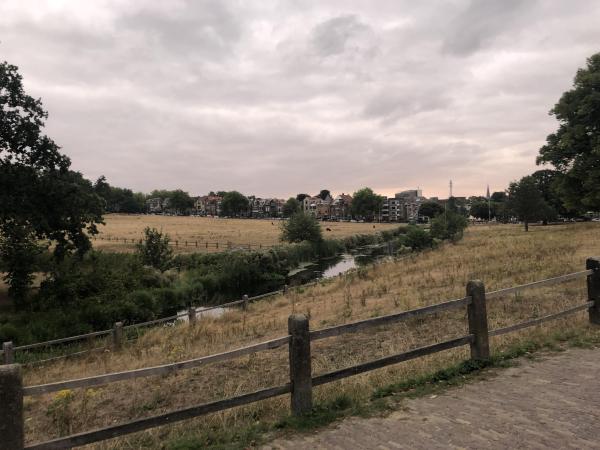arnhem-zijpendaalseweg-26-08-2022.jpg